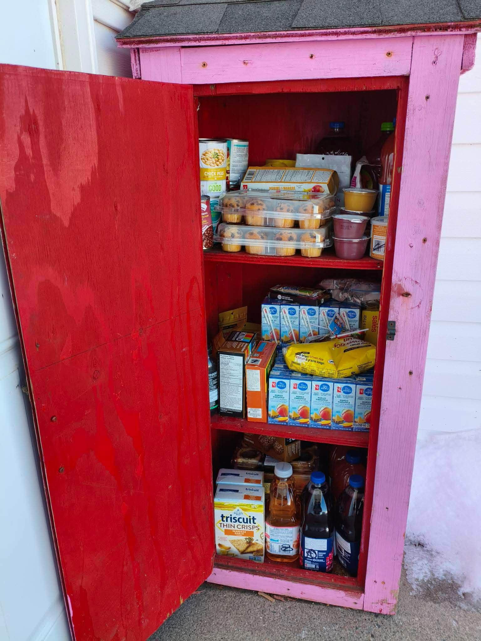 Outdoor community pantry cabinet